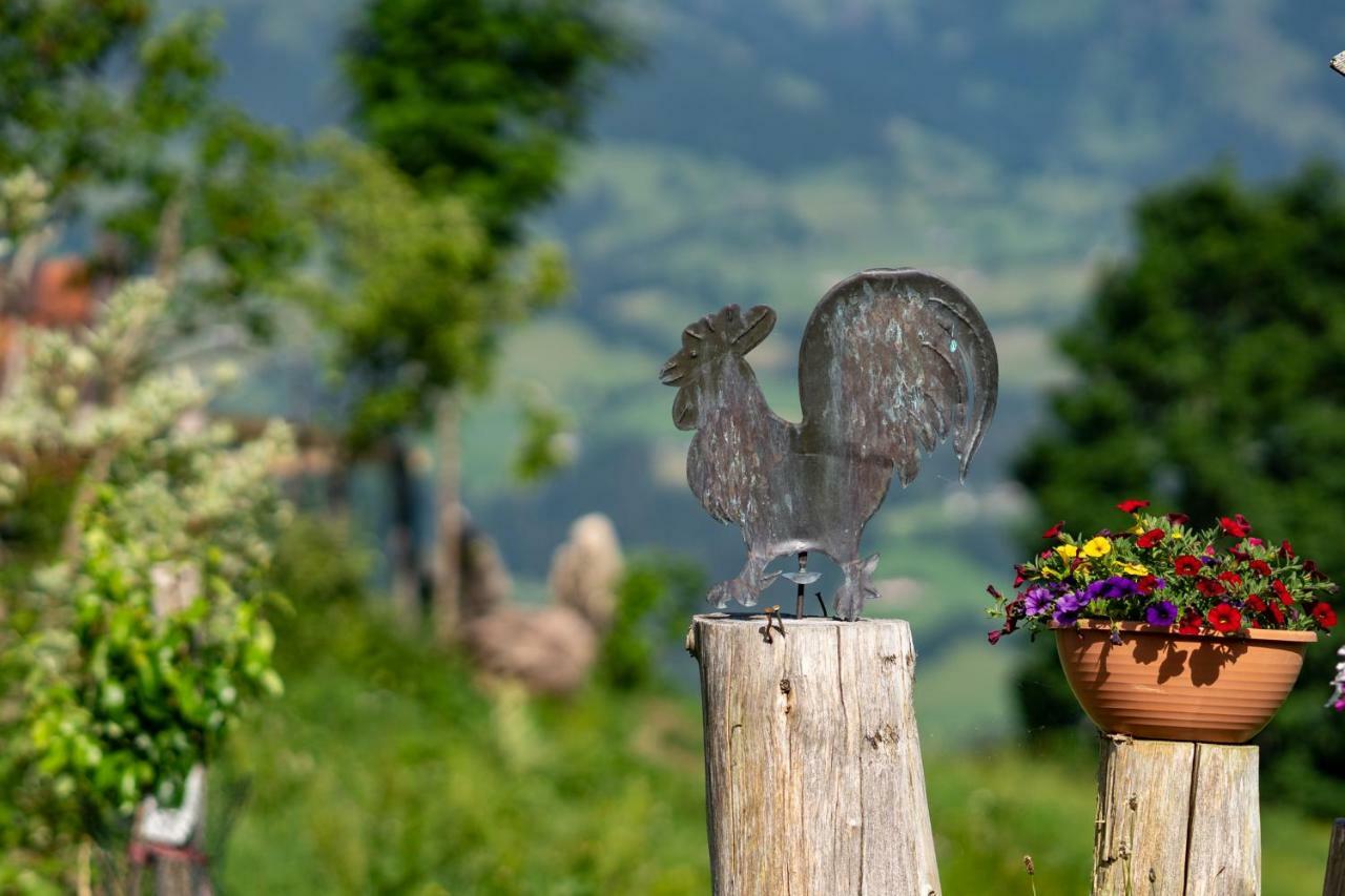 Hof Zenzern Daire Kitzbühel Dış mekan fotoğraf